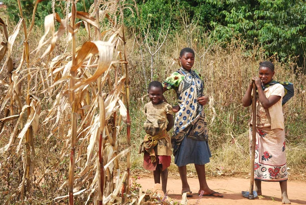 De kinderen van de Kilolo berg in Tanzania - Afrika 37 — Stockfoto