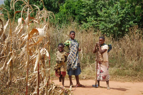 A gyermekek Kilolo hegy-Tanzánia - Afrika 36 — Stock Fotó