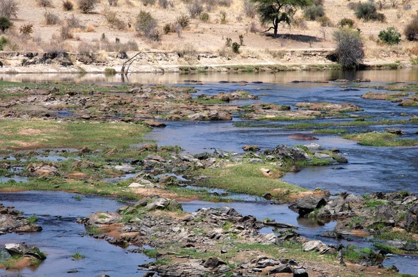 Řeka v Africe savany - Tanzanie - 33 — Stock fotografie