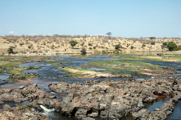 En flod i Afrikas savann - Tanzania - 40 — Stockfoto