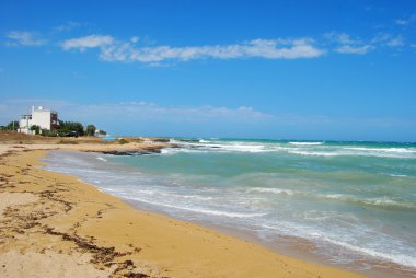 Apulia Torre Canne sahil - Puglia - İtalya