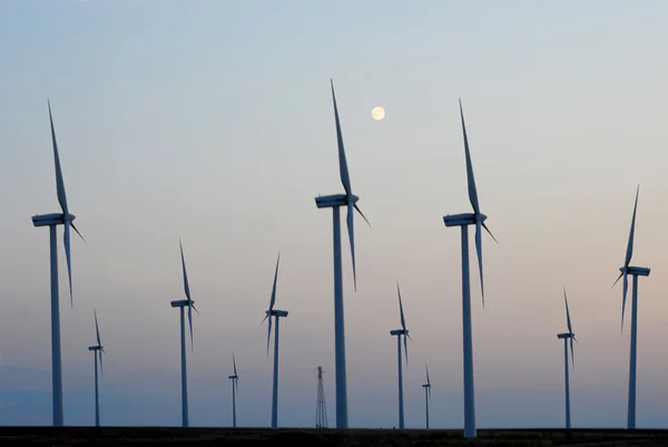 A field of wind turbines - Apulia - Italy — Stock Photo, Image