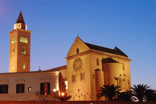 Visa av den romanska kyrkan Trani i Apulien - Italien — Stockfoto