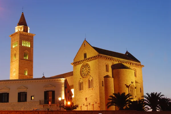 풀리아-이탈리아에서에서 로마네스크 Trani 교회의 보기 — 스톡 사진