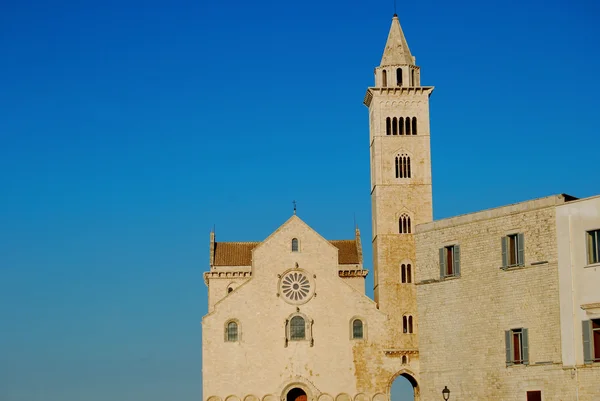 Visa av den romanska kyrkan Trani i Apulien - Italien — Stockfoto