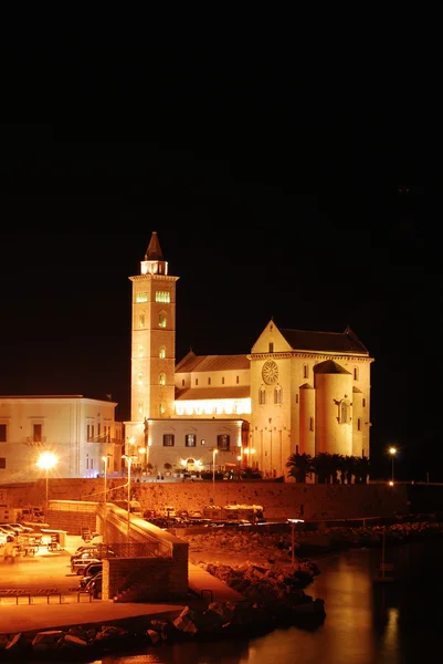 Vista da igreja românica de Trani na Apúlia - Itália — Fotografia de Stock