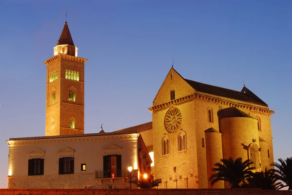 Görünüm Romanesk kilise Trani Apulia - İtalya — Stok fotoğraf