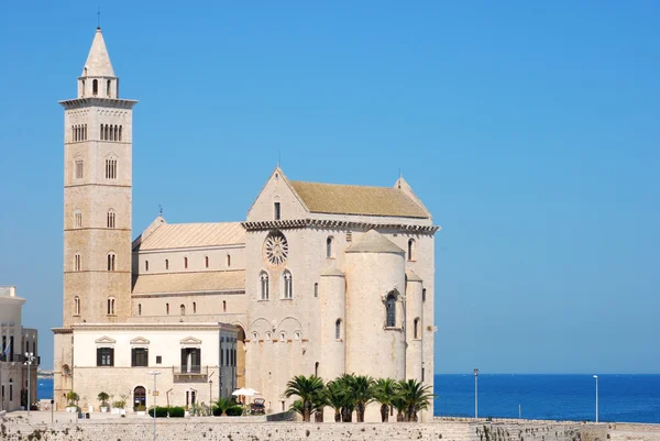 Görünüm Romanesk kilise Trani Apulia - İtalya — Stok fotoğraf