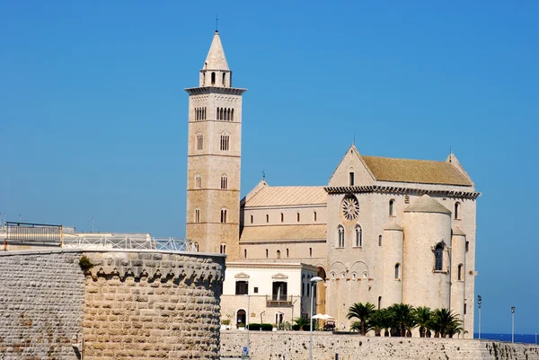 Weergave van de Romaanse kerk van Trani in Apulië - Italië — Stockfoto