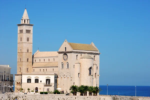Pohled na románský kostel Trani v Apulii - Itálie — Stock fotografie