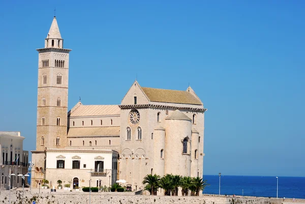 Weergave van de Romaanse kerk van Trani in Apulië - Italië — Stockfoto