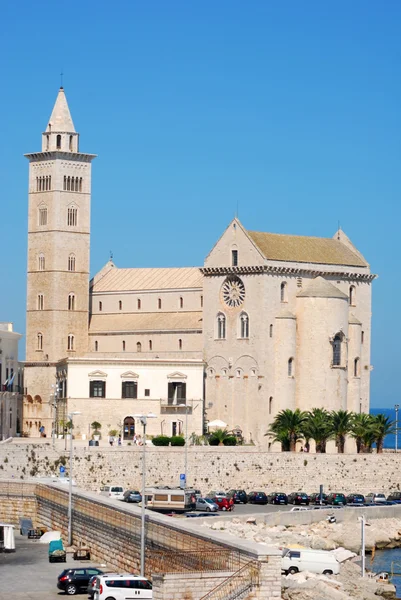 Vista de la iglesia románica de Trani en Apulia - Italia — Foto de Stock