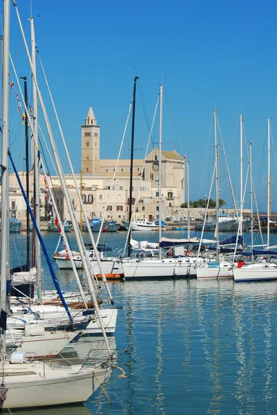 Widok na Kościół Trani i Port turystyczny - Apulia - Włochy — Zdjęcie stockowe