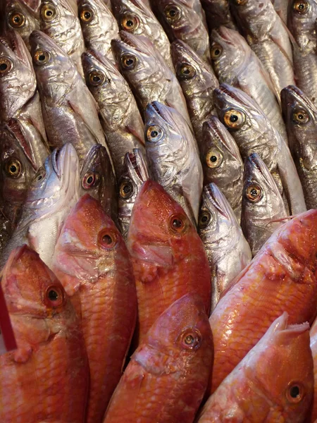 Een Blootstelling Van Vis Vismarkt — Stockfoto