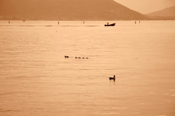 A boatman on Lake Iseo after sunset - Brescia - Italy — Stock Photo, Image