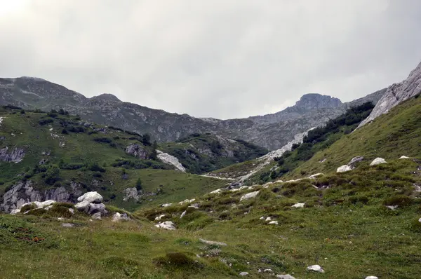 Paisagem de montanha entre os picos de Adamello — Fotografia de Stock