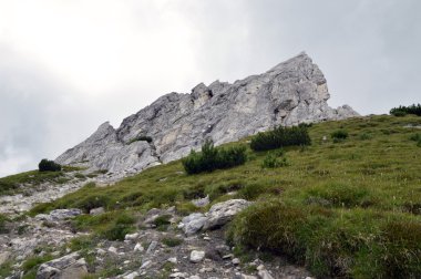 Dağ manzarası Adamello tepeler arasında