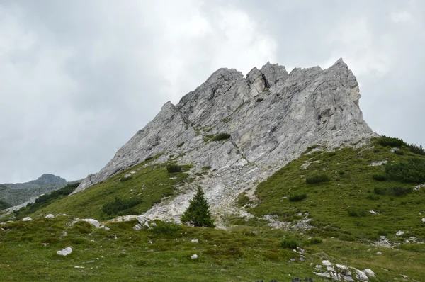 Adamello 봉우리 사이 산 풍경 — 스톡 사진