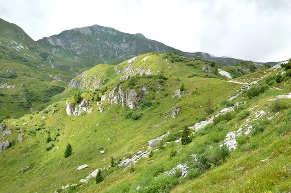 Paysage de montagne entre les sommets Adamello — Photo