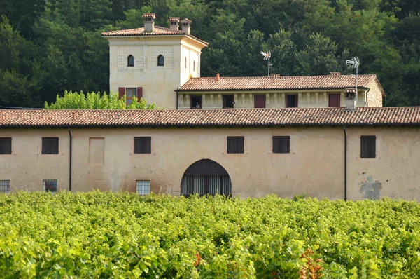 Ein alter Bauernhof mit seinen Weinbergen in der Landschaft von — Stockfoto