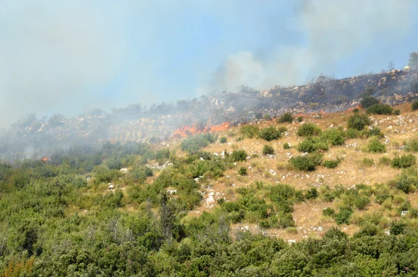 An arson attack on the mountains Prenestini of Castel San Pietro — Stock Photo, Image