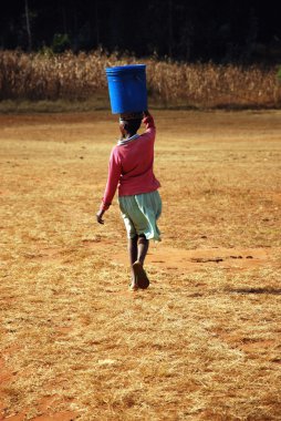 su taşıyıcısı - pomerini - Tanzanya - Afrika