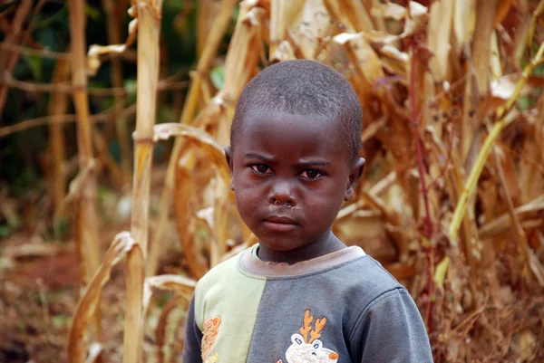 Moments de la vie quotidienne des enfants dans le village Pomerini en Tanzanie — Photo