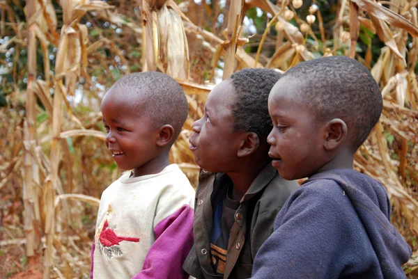 Momentos de la vida cotidiana de los niños en la aldea de Pomerini en Tanzania —  Fotos de Stock