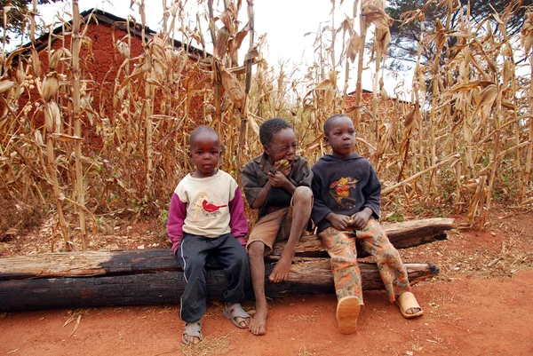 Momentos de la vida cotidiana de los niños en la aldea de Pomerini en Tanzania —  Fotos de Stock