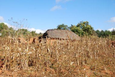 evler ve Tanzanya Afrika pomerini Köyü evleri