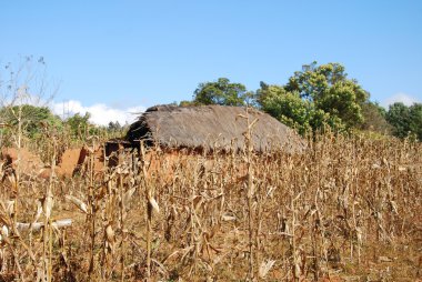 evler ve Tanzanya Afrika pomerini Köyü evleri