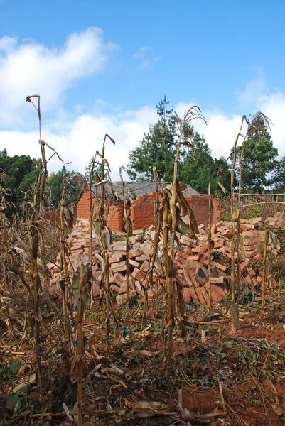 Case e case nel villaggio di Pomerini in Tanzania-Africa — Foto Stock