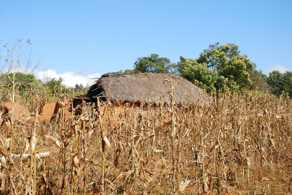 Houses and homes in the Village of Pomerini in Tanzania-Africa