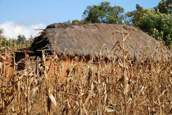 Case e case nel villaggio di Pomerini in Tanzania-Africa — Foto Stock