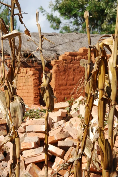 Huizen en huizen in het dorp van pomerini in tanzania-Afrika — Stockfoto