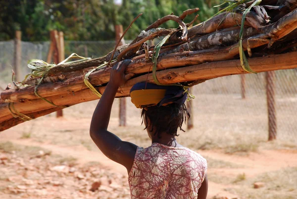 Una donna africana mentre trasporta un carico di legno - Tanzania — Foto Stock