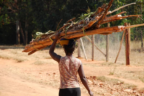 En afrikansk kvinna samtidigt som en massa trä - tanzania — Stockfoto