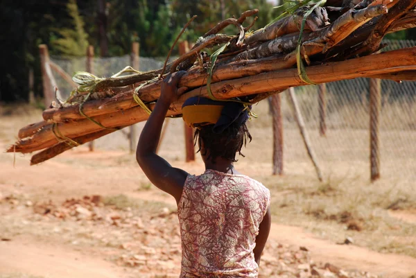 Una mujer africana llevando una carga de madera - Tanzania — Foto de Stock