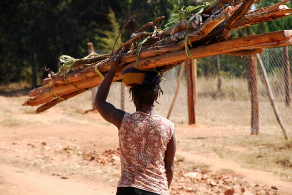 Een Afrikaanse vrouw terwijl de uitvoering van een lading hout - tanzania — Stockfoto