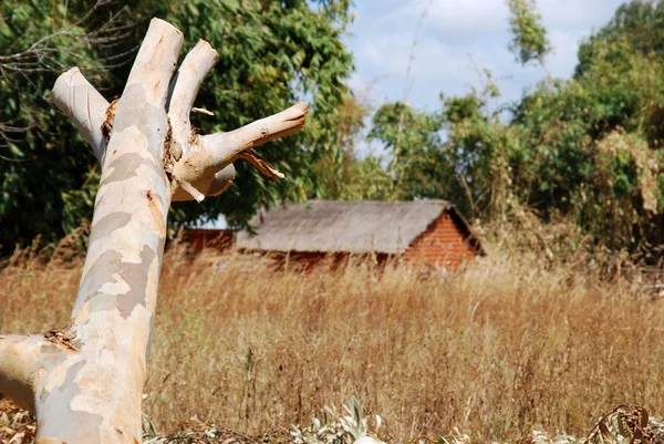 Domy a domy ve vesnici pomerini v Tanzanii Afrika — Stock fotografie