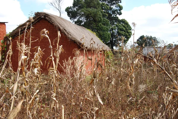 Ett typiskt hus i byn av afrikanska Pomerini - Tanzania - — Stockfoto