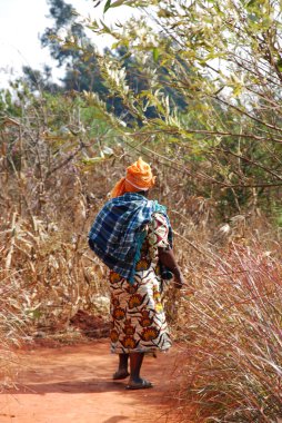 Tanzanya - Afrika Tarım peyzaj