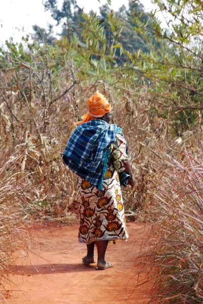 Paesaggio agricolo in Tanzania - Africa — Foto Stock