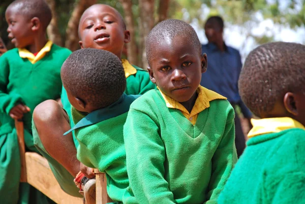 Het spel van kleuterschool kinderen van het dorp van pomerini-tan — Stockfoto