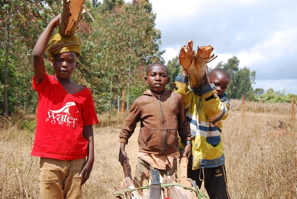 Crianças africanas para trabalhar carregando lenha para cozinhar e heati — Fotografia de Stock