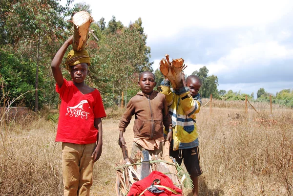 Bambini africani al lavoro trasportando legna da ardere per cucinare e riscaldare — Foto Stock