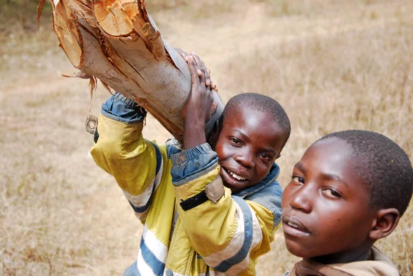 African children to work carrying firewood for cooking and heati