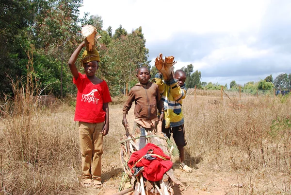 Niños africanos a trabajar llevando leña para cocinar y caldos — Foto de Stock