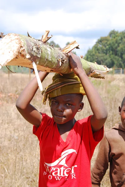 African children to work carrying firewood for cooking and heati
