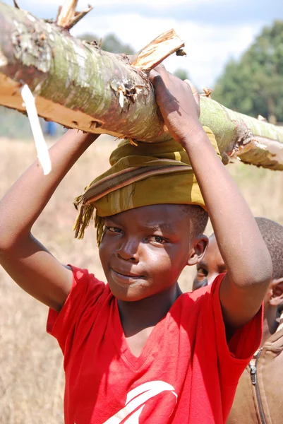 Crianças africanas para trabalhar carregando lenha para cozinhar e heati — Fotografia de Stock